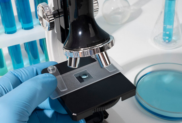 Forensic Biology & Serology