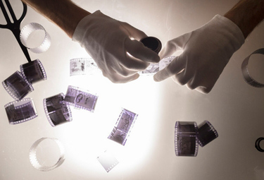 Forensic Photography